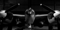B&W Lightning