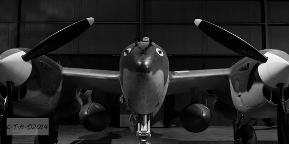 B&W Lightning